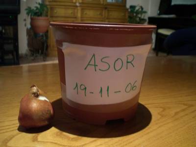 Imagen_001.jpg