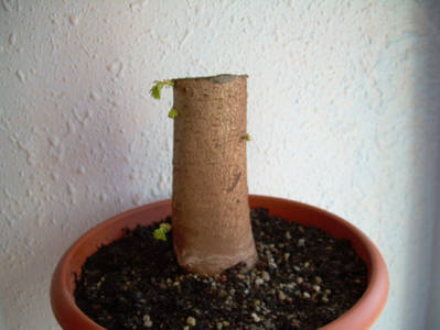 Imagen_0016.jpg