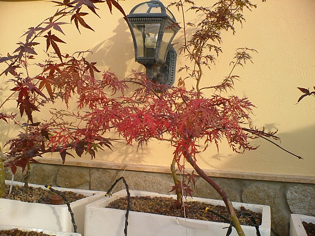 Imagen_0027.jpg