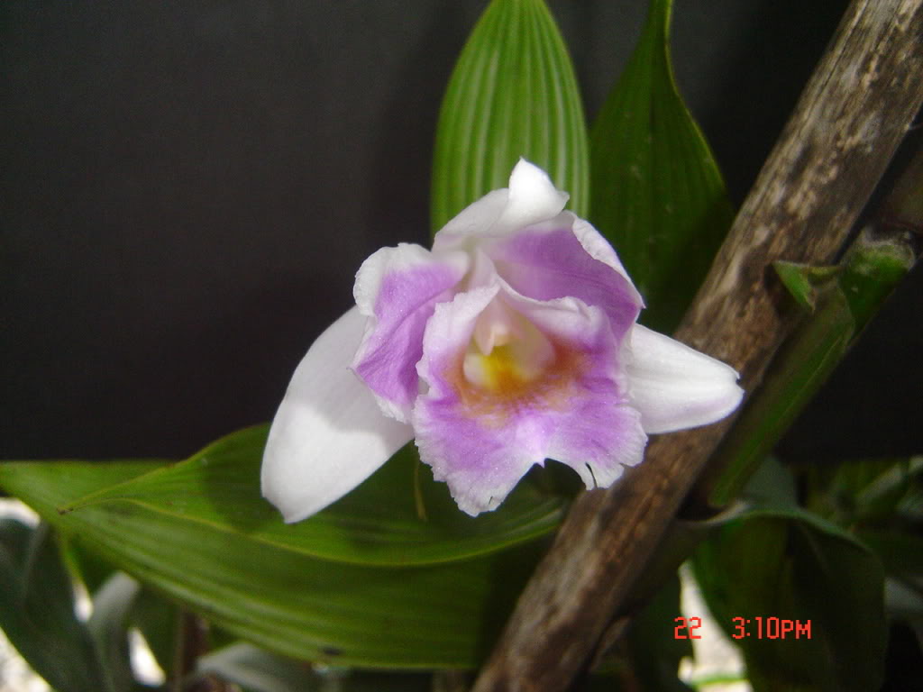 Imagen_003.jpg