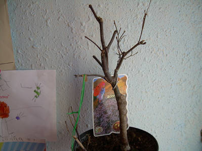 Imagen_0037.jpg