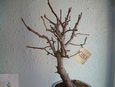 Imagen_0046.jpg