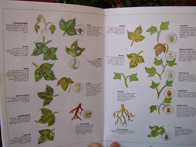 Imagen_0055.jpg