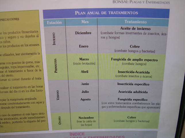 Imagen_0063.jpg