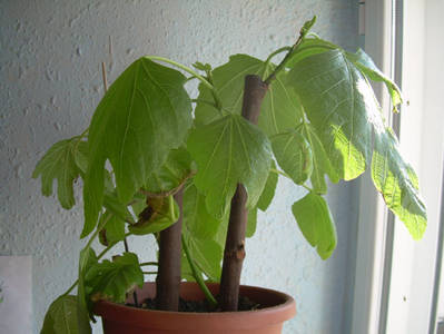 Imagen_0064.jpg