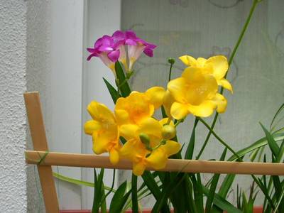 Imagen_0164.jpg