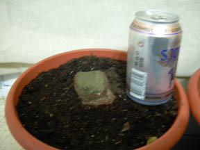 Imagen_0233.jpg