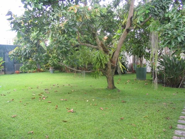 Imagen_027.jpg