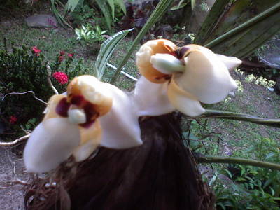 Imagen_0392.jpg