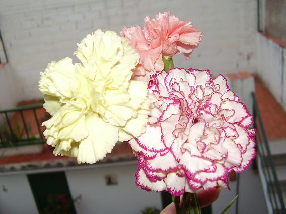 Imagen_044.JPG