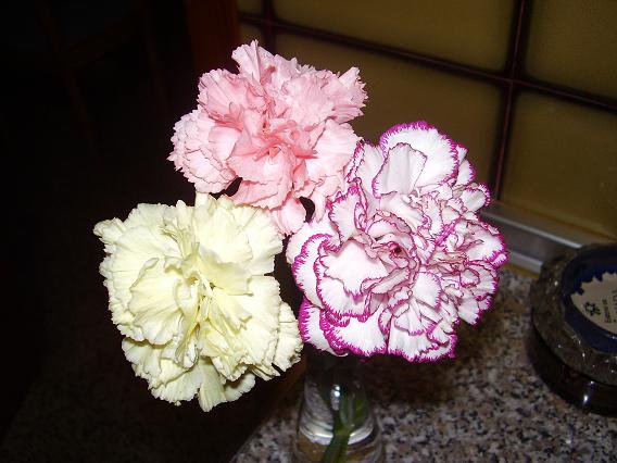Imagen_047.JPG