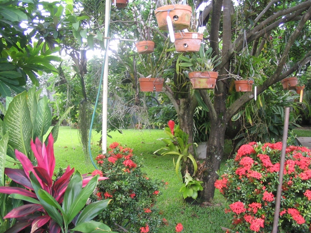 Imagen_063.jpg