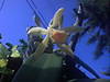 Imagen_064.jpg