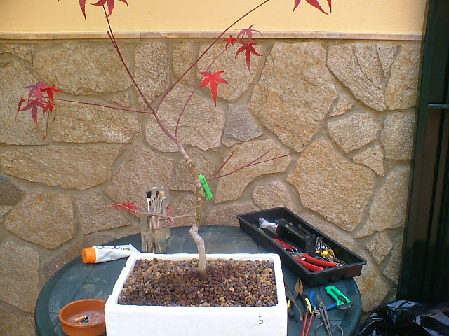 Imagen_1491.jpg