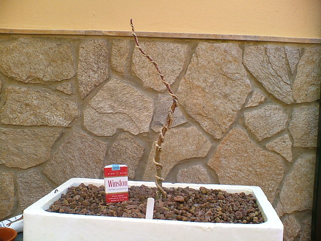 Imagen_1722.jpg