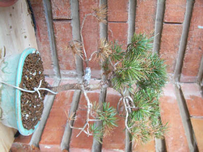 Imagen_219.jpg