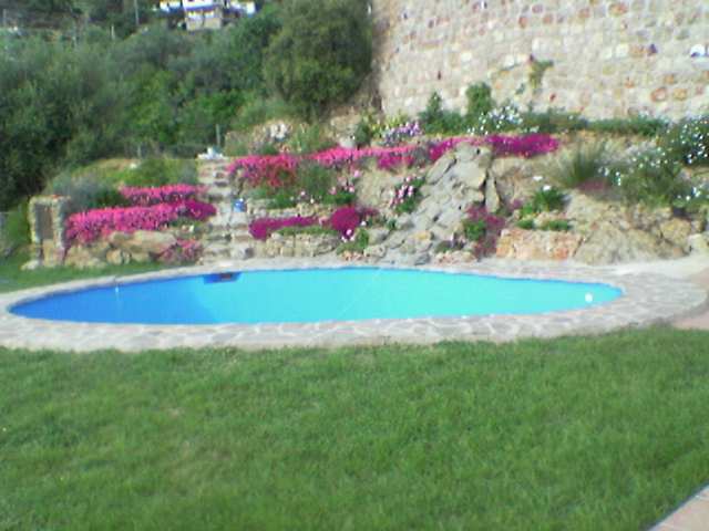 Imagen_231_.jpg