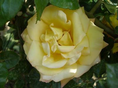 Imagen_467_Small_.jpg