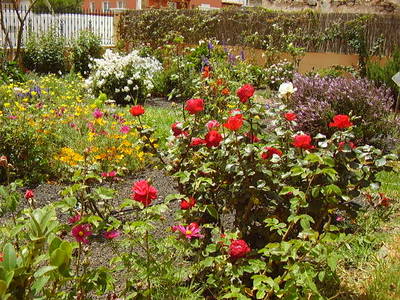 Imagen_4821.jpg