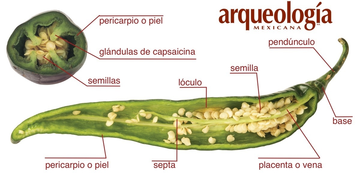 imagen_519_0.jpg