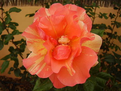 Imagen_571.jpg