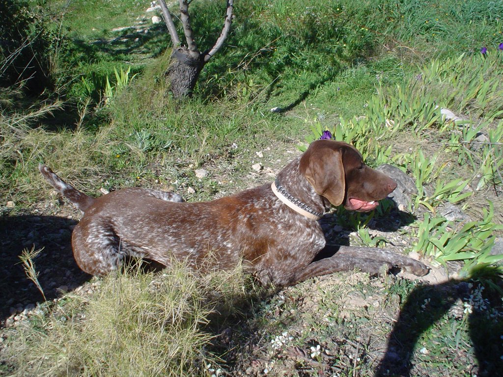 ImagenES%20040.jpg