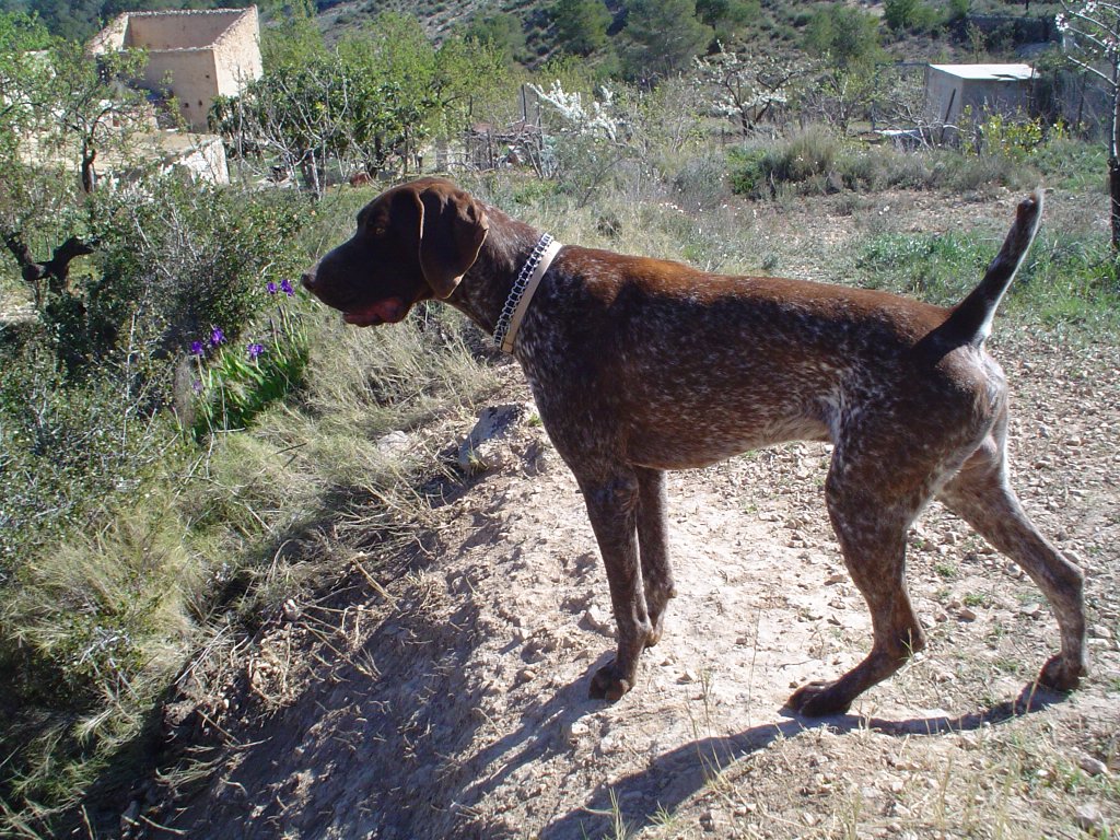 ImagenES%20042.jpg