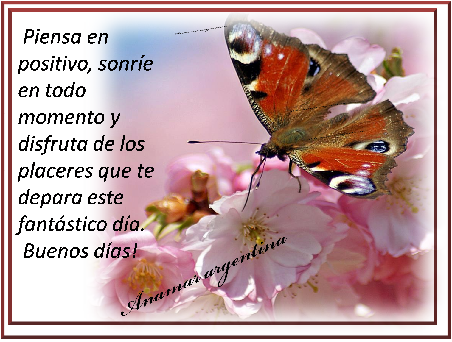 imagenes-con-frases-domingo-anamar-argentina.png