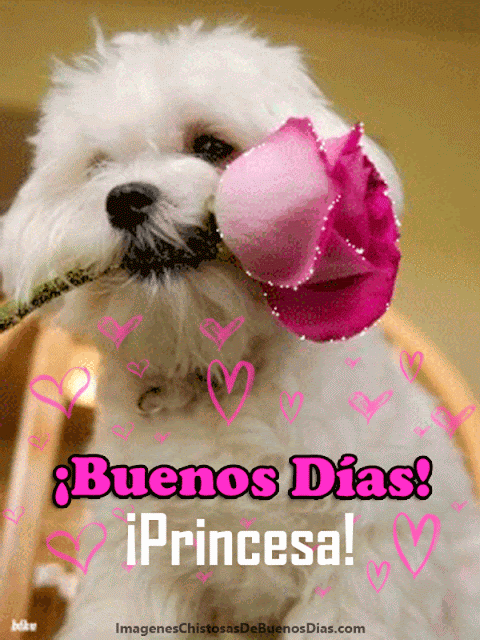 imagenes-de-buenos-dias-amor-animadas.gif