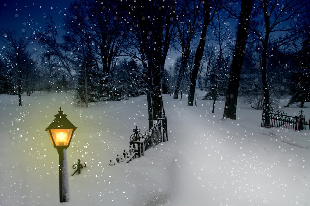 imagenes-de-la-nieve-en-invierno-con-farol-encendido.jpg
