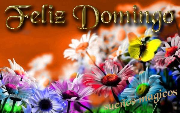 Imagenes-Domingo_52.jpg