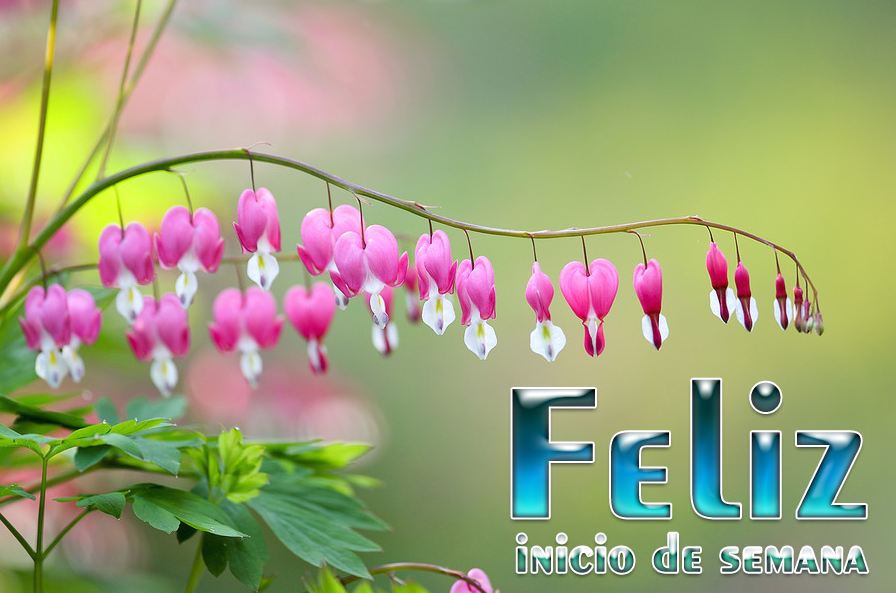 imagenes-feliz-semana-buena-semana-feliz-finde-161.png