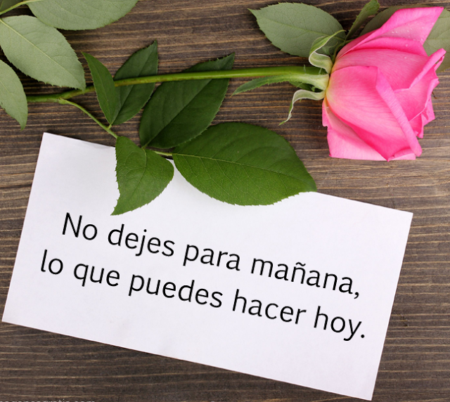 imagenes-frases-reflexion-no-dejes-para-manana.png