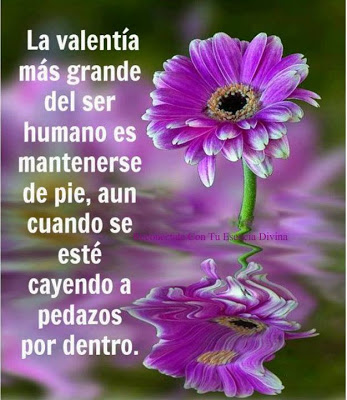 imagenes-frases-valentia.jpg