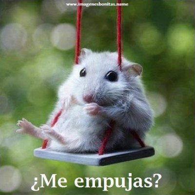 imagenes_bonitas_para_facebook_me_empujas.jpg
