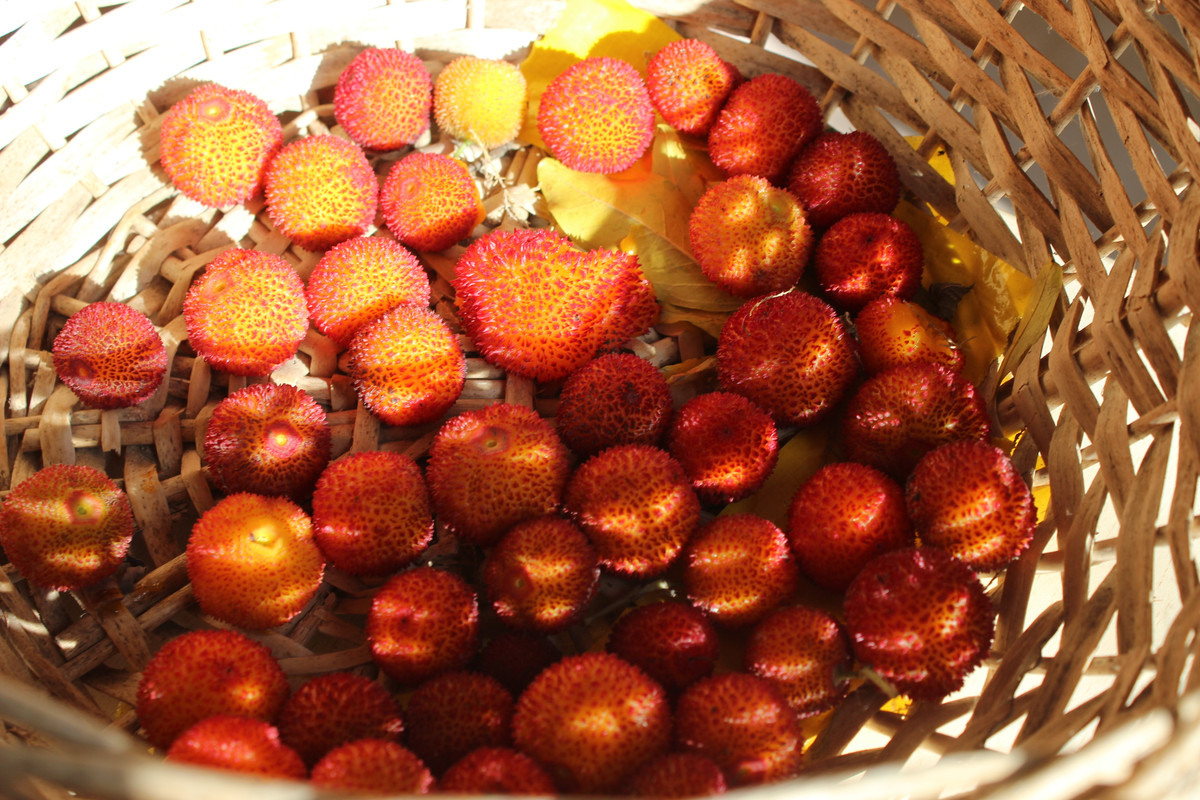 IMG-0301.jpg