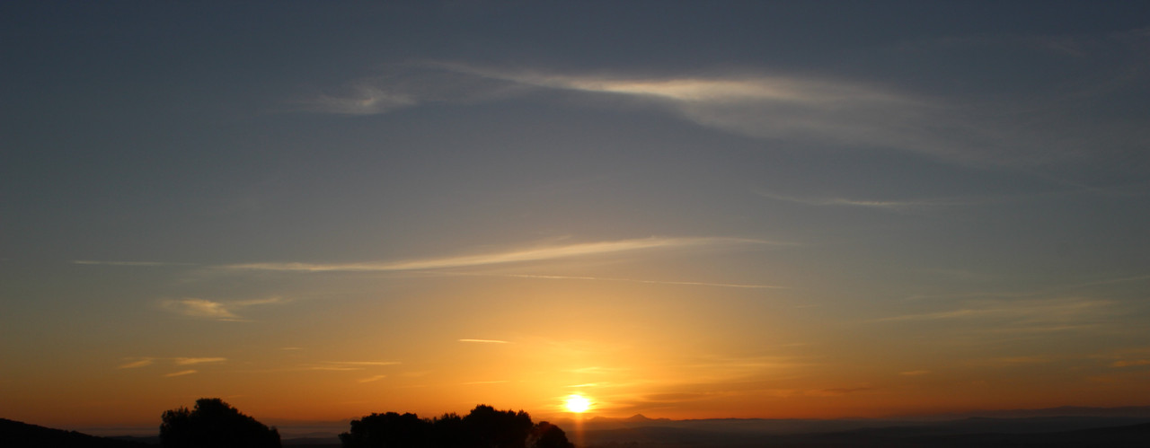 IMG-0390-2.jpg