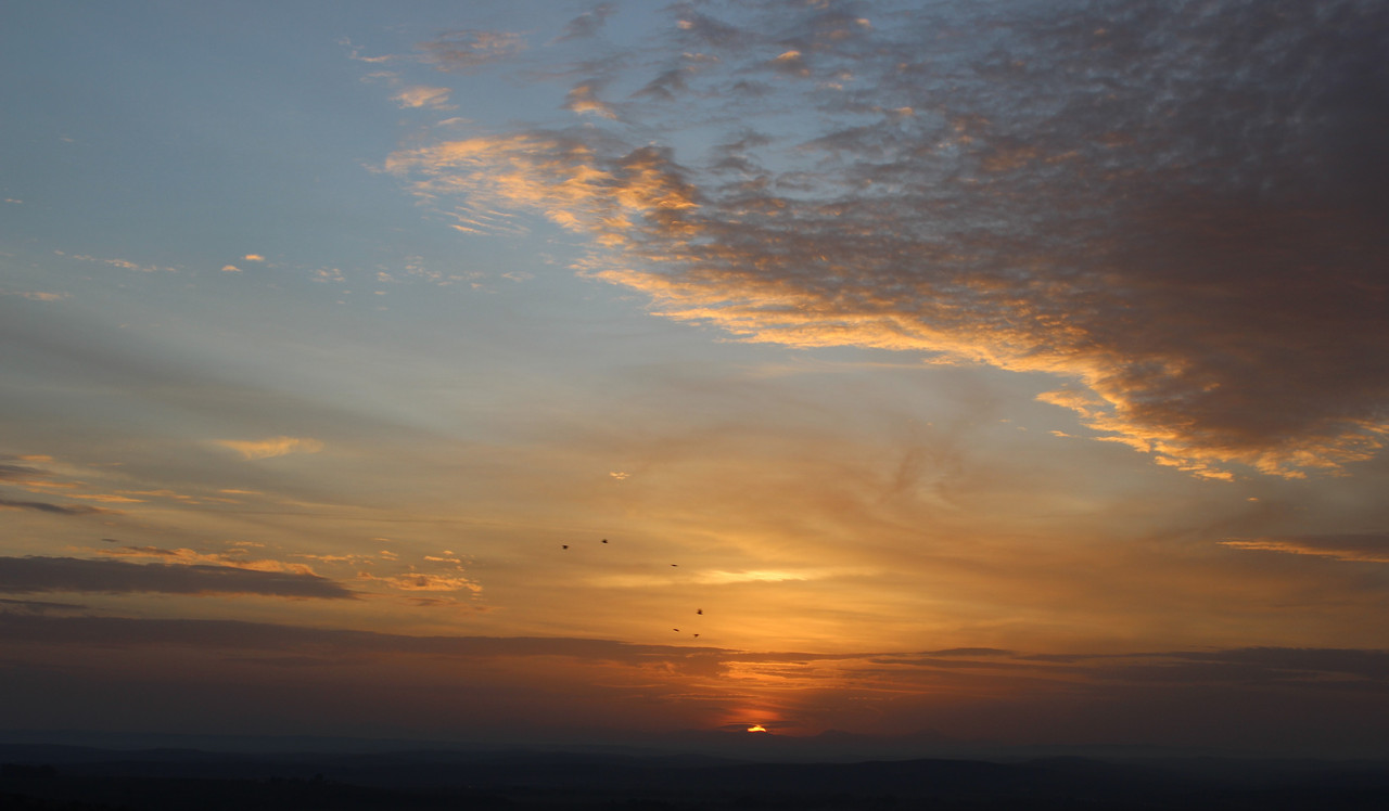 IMG-0412v2.jpg