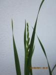 img-0422-27962.JPG