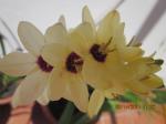 img-0459-32482.JPG