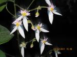 img-0522-36894.JPG