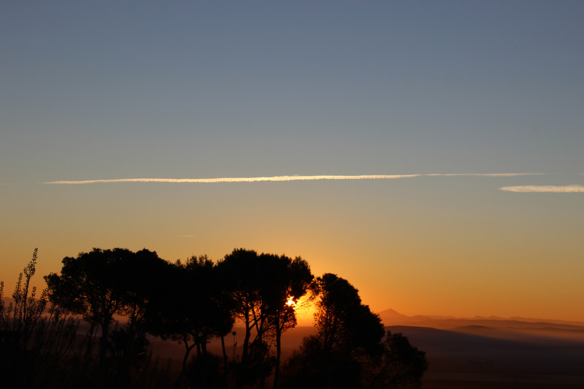 IMG-0782.jpg