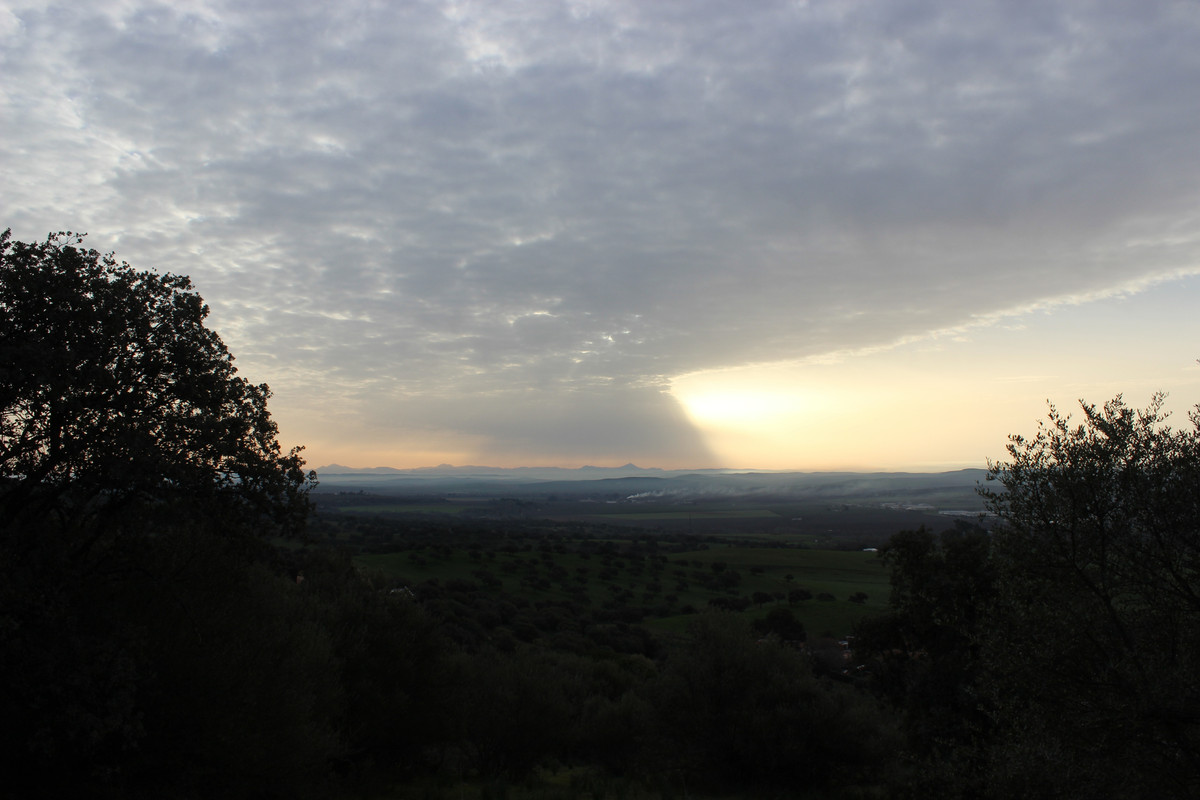 IMG-1237.jpg