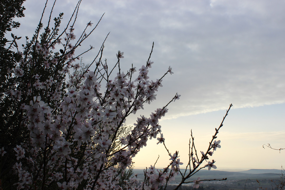 IMG-1249.jpg