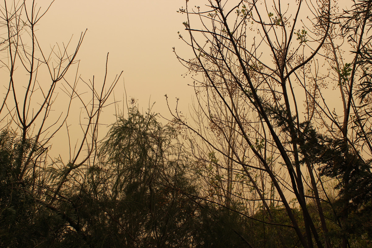 IMG-1994.jpg