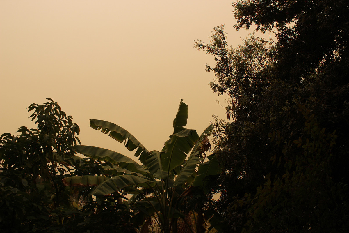 IMG-1995.jpg