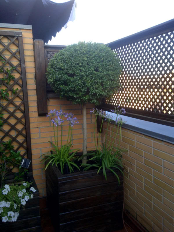 IMG-20110710-00018.jpg