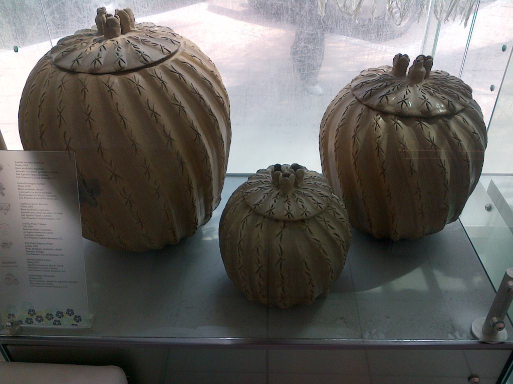 IMG-20120920-00021.jpg