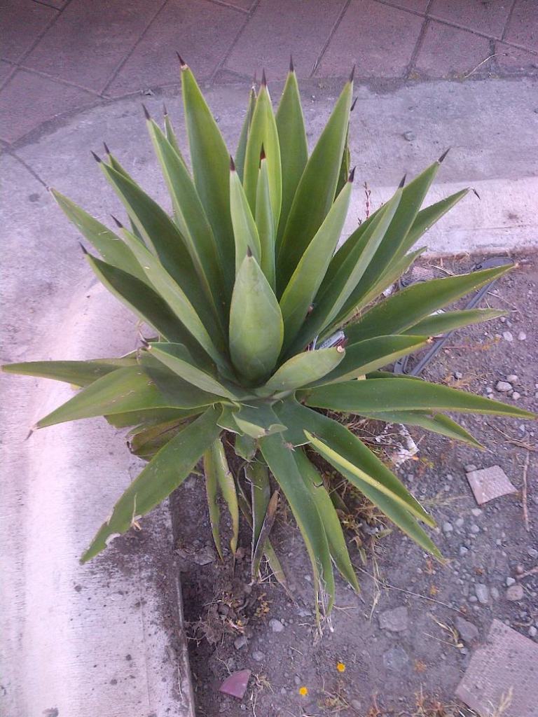 IMG-20121014-00050.jpg