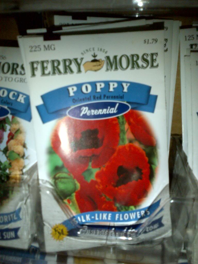 IMG-20121025-00954.jpg